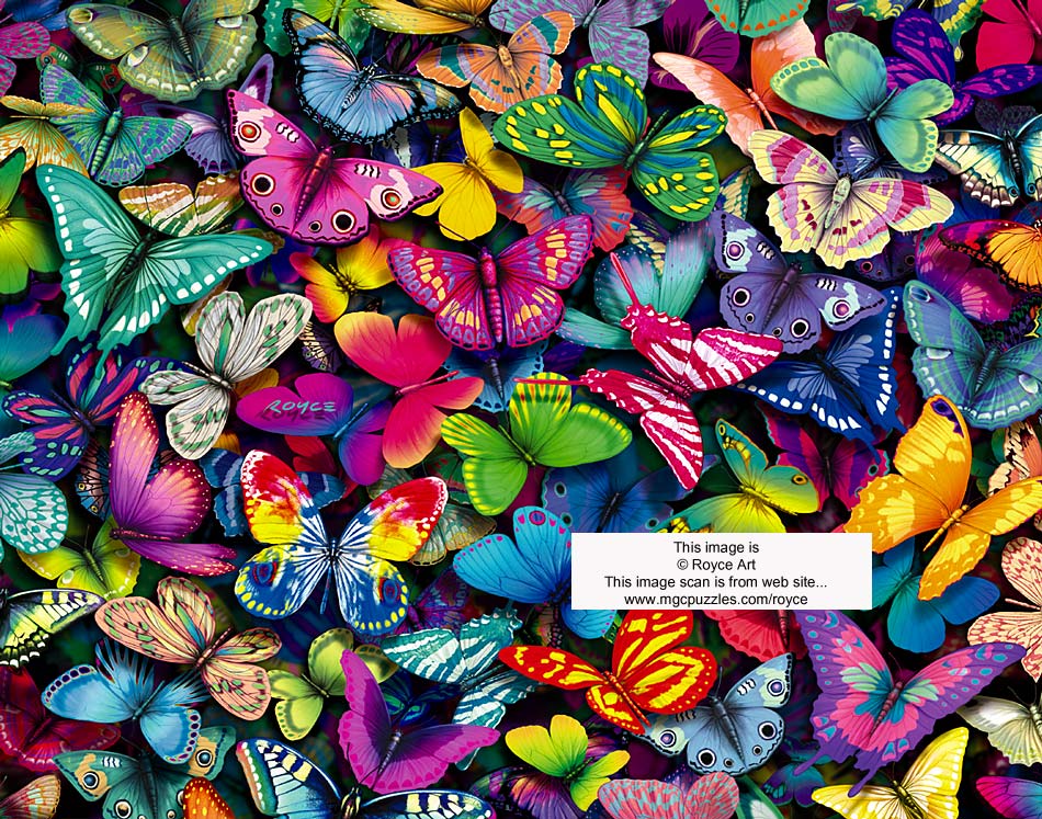 Butterfly collection is another colorful and busy scene