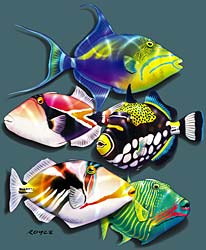 Trigger happy Fish