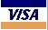 we accept Visa card logo